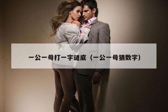 一公一母打一字谜底（一公一母猜数字）